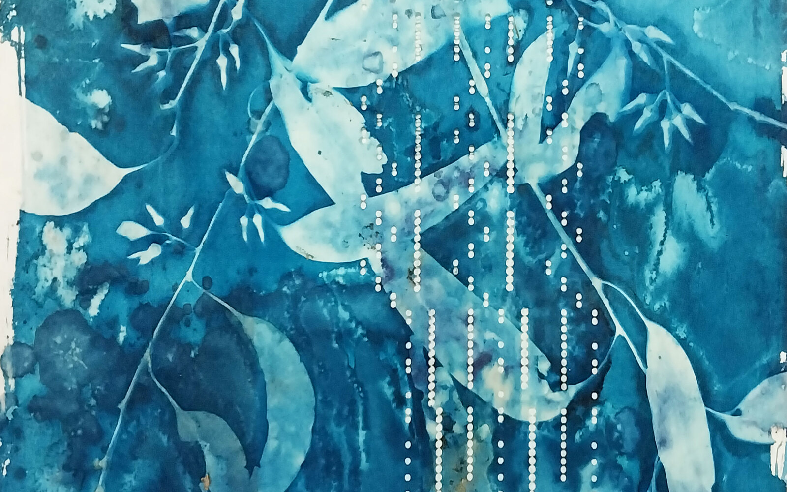 Deep blue cyanotype of eucalyptus leaves on a pianola roll