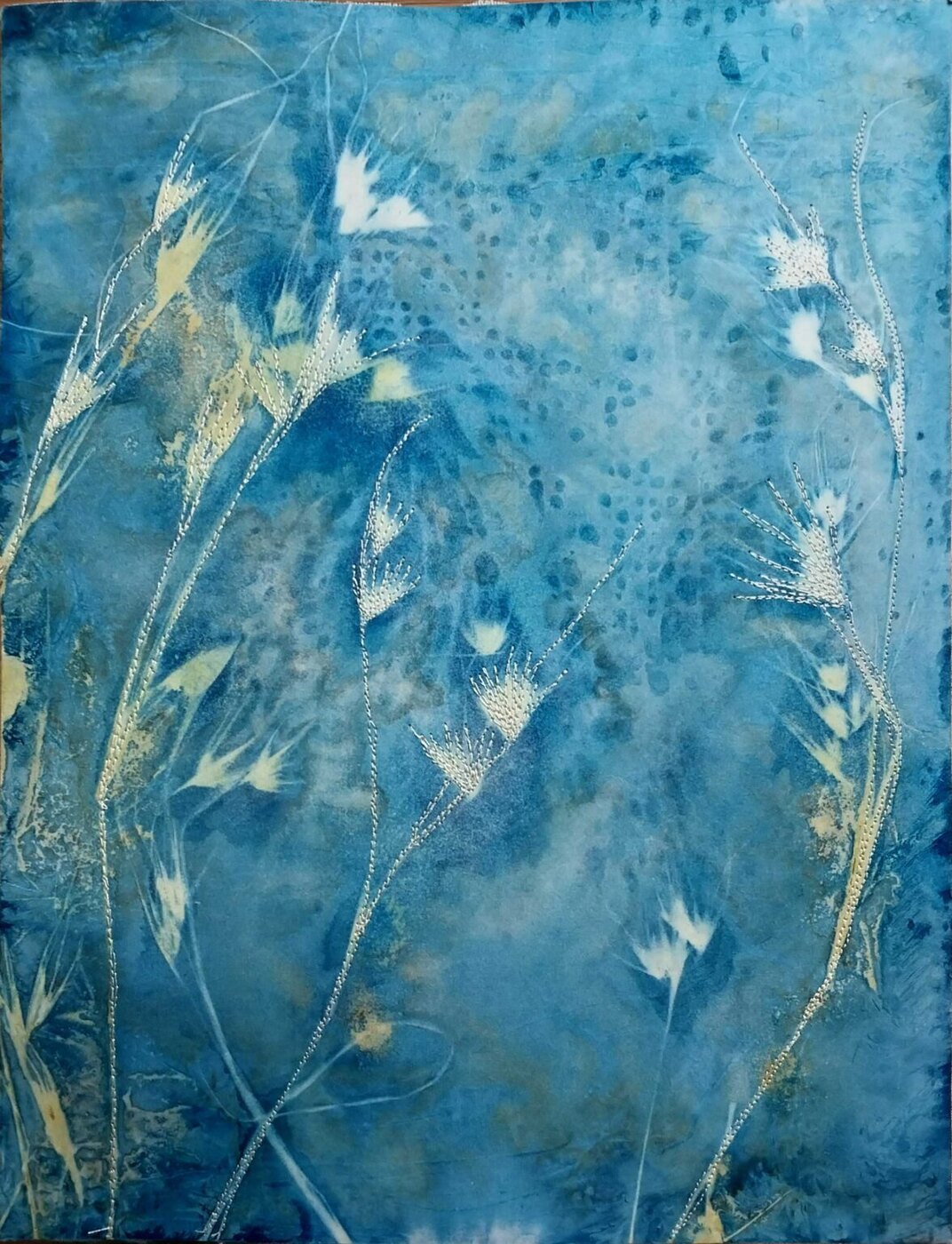 Cyanotype kangaroo grass