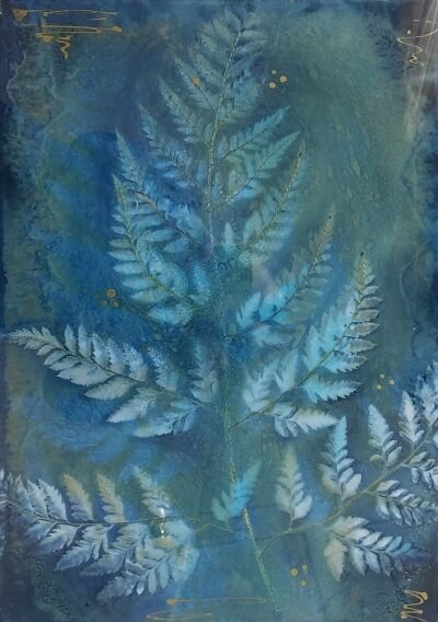 Wet cyanotype, misty morning frond