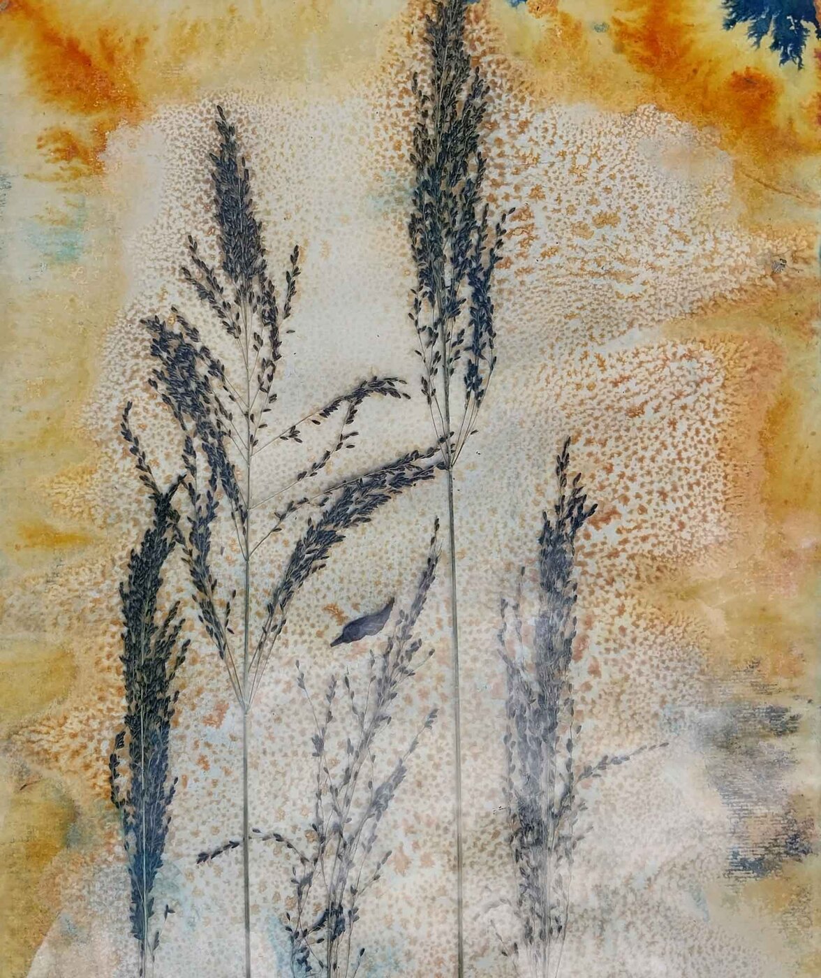 Rust print and cyanotype weeds